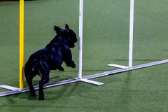 1-29-23-Kathy-Wagner-Seminar-580