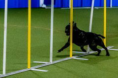 1-29-23-Kathy-Wagner-Seminar-581