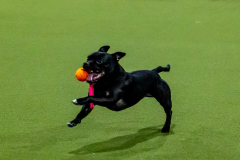 1-29-23-Kathy-Wagner-Seminar-587