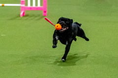 1-29-23-Kathy-Wagner-Seminar-588