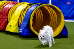 1-29-23-Kathy-Wagner-Seminar-589