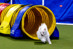 1-29-23-Kathy-Wagner-Seminar-590