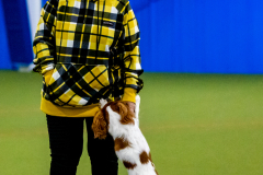 1-29-23-Kathy-Wagner-Seminar-591