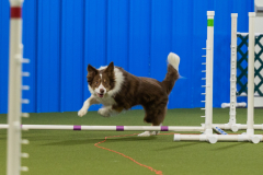 1-29-23-Kathy-Wagner-Seminar-707