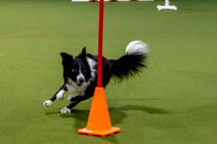 1-29-23-Kathy-Wagner-Seminar-886