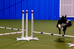 1-29-23-Kathy-Wagner-Seminar-897