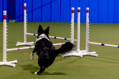 1-29-23-Kathy-Wagner-Seminar-898