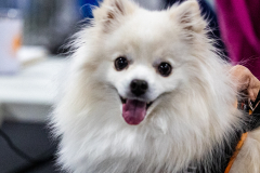 1-29-23-Kathy-Wagner-Seminar-910