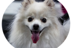 1-29-23-Kathy-Wagner-Seminar-916