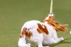 1-29-23-Kathy-Wagner-Seminar-921