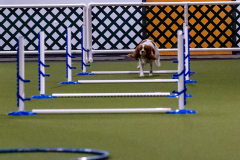 1-29-23-Kathy-Wagner-Seminar-928