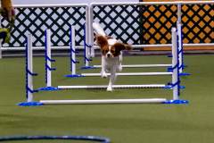 1-29-23-Kathy-Wagner-Seminar-929