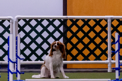 1-29-23-Kathy-Wagner-Seminar-932