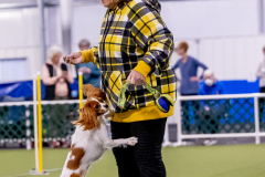 1-29-23-Kathy-Wagner-Seminar-936