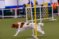 1-29-23-Kathy-Wagner-Seminar-946