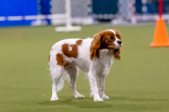 1-29-23-Kathy-Wagner-Seminar-954