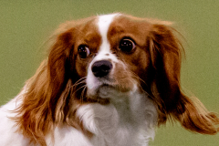 1-29-23-Kathy-Wagner-Seminar-956