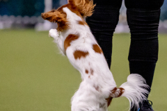 1-29-23-Kathy-Wagner-Seminar-960