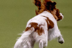 1-29-23-Kathy-Wagner-Seminar-963