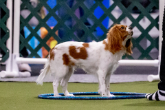 1-29-23-Kathy-Wagner-Seminar-964