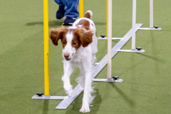 1-29-23-Kathy-Wagner-Seminar-975