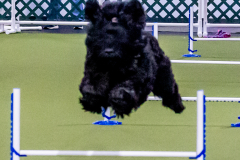 1-29-23-Kathy-Wagner-Seminar-988