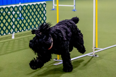 1-29-23-Kathy-Wagner-Seminar-995