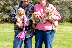 LINDA EVANS PUPS