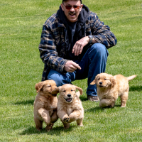 LindaE-Pups-4-27-26-61