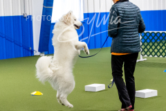 ScentWork 10-17-26 Sat