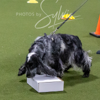 26-18-10-ScentWork-100