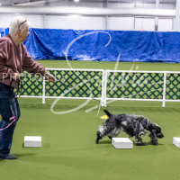 26-18-10-ScentWork-103