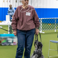 26-18-10-ScentWork-106