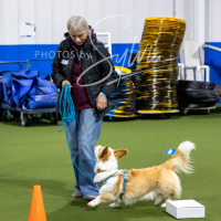 26-18-10-ScentWork-11