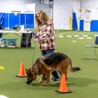26-18-10-ScentWork-111