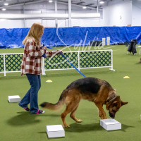 26-18-10-ScentWork-114
