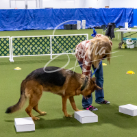 26-18-10-ScentWork-115