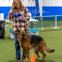 26-18-10-ScentWork-116