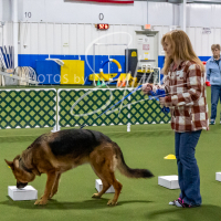 26-18-10-ScentWork-117