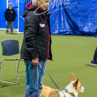 26-18-10-ScentWork-12