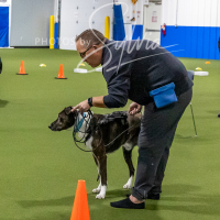 26-18-10-ScentWork-123