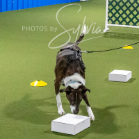 26-18-10-ScentWork-125
