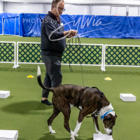 26-18-10-ScentWork-126