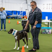 26-18-10-ScentWork-129