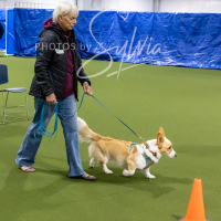 26-18-10-ScentWork-13