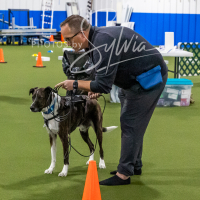 26-18-10-ScentWork-130