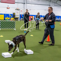 26-18-10-ScentWork-131