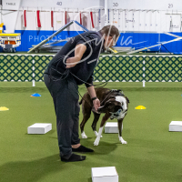 26-18-10-ScentWork-133