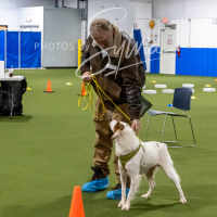 26-18-10-ScentWork-135