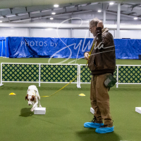 26-18-10-ScentWork-136